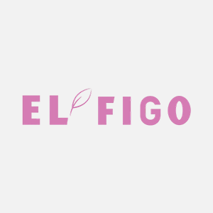 Elfigo