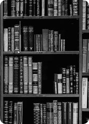 unsplash_NIJuEQw0RKg