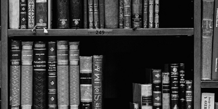 unsplash_NIJuEQw0RKg